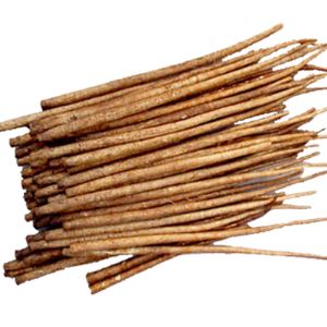 Burdock pulver
