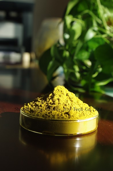 Echinacea Purpurea Extract