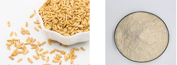 Oat & oat glucan Powder 