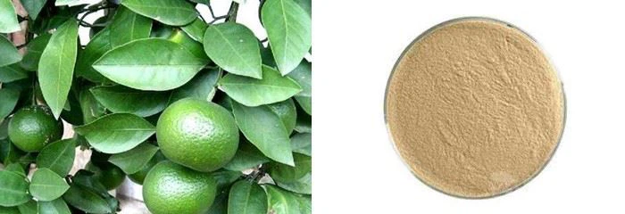 Citrus polymethoxy flavonoid 