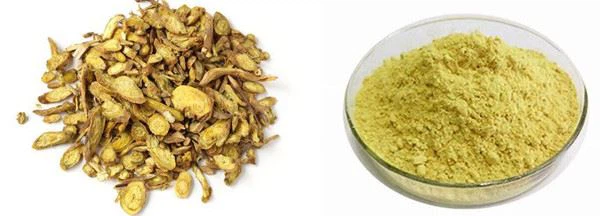 skullcap extract powder