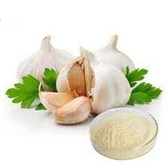 Garlic extract