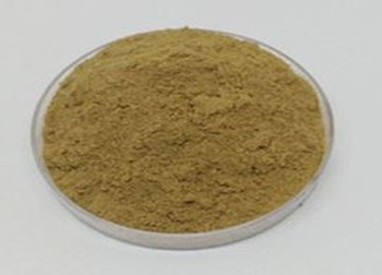 Yucca Extract