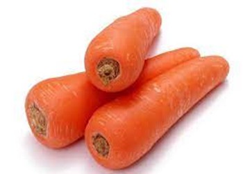 Carrot