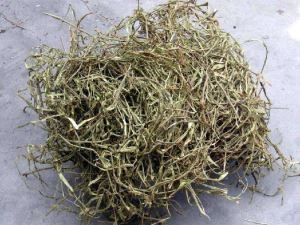 Hvit Willow Extract