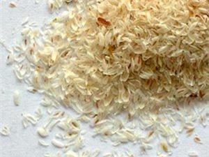 Psyllium Husk Pulver