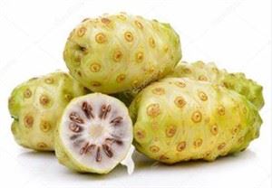 Noni frukt pulver