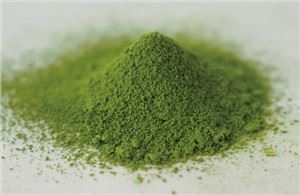 Økologisk Matcha-pulver