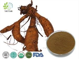 pueraria ekstrakt pulver