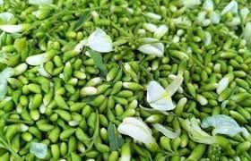 Quercetin pulver