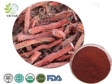Salvia Miltiorrhiza Ekstrakt