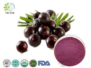 Acai bærjuice pulver
