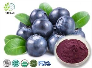 Blåbær Antocyanin