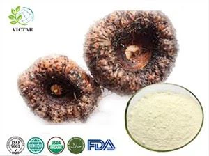 Konjac glucomannan