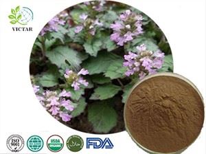 Turkesterone pulver