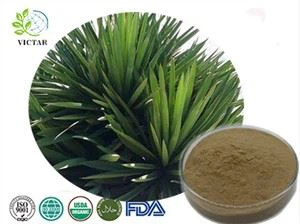 Yucca Ekstrakt