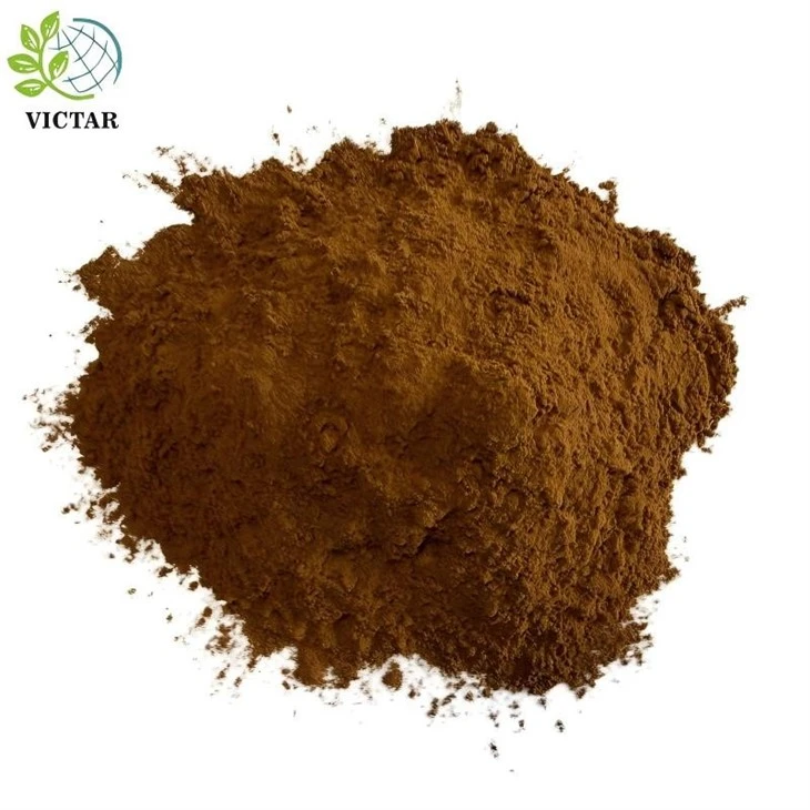 Chaga sopppulver